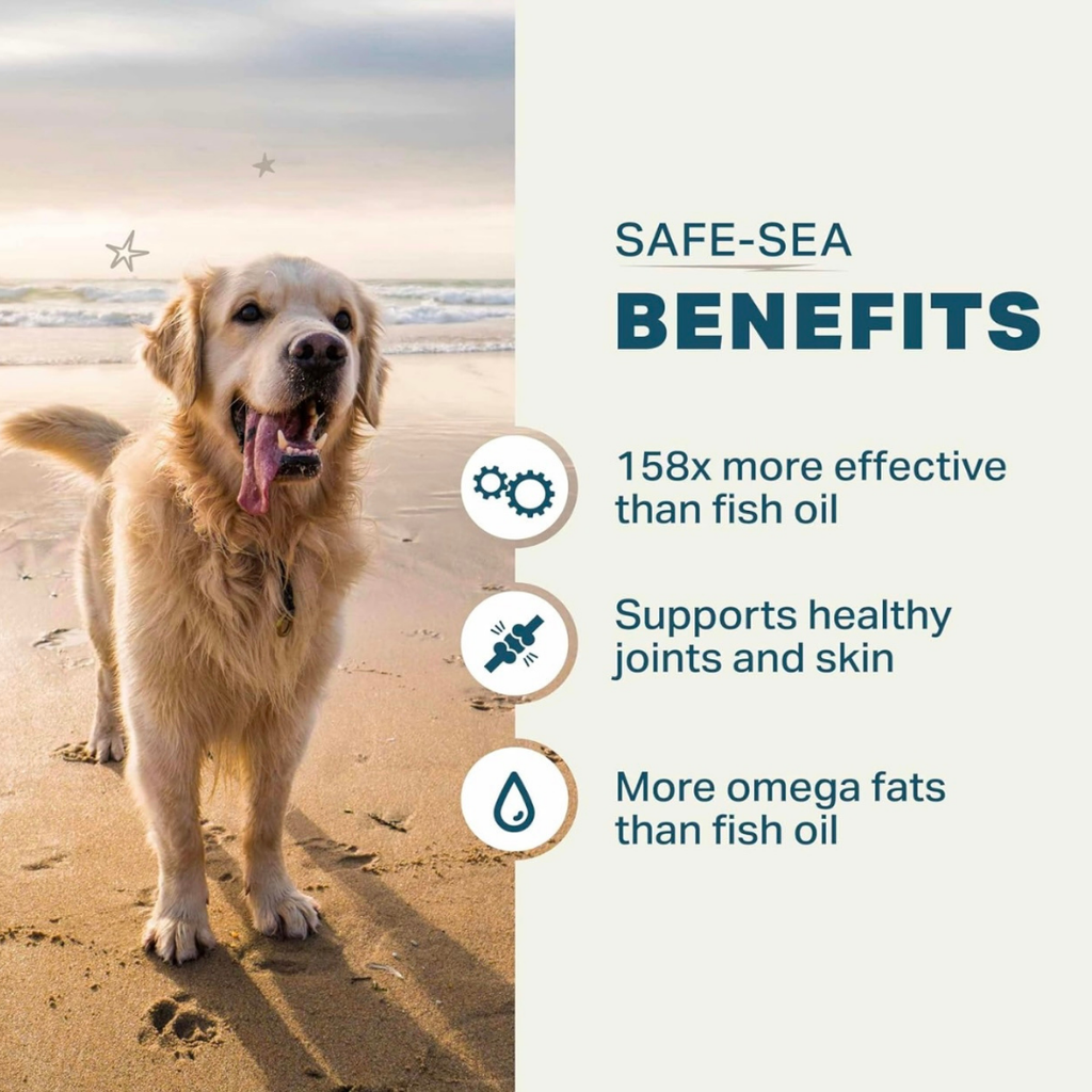 Dog Omega Oil product image 3