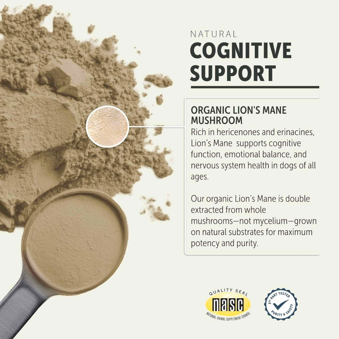 Dog Mushroom Supplement product image 3
