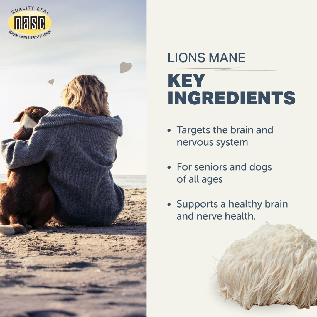 Dog Mushroom Supplement product image 5