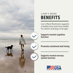 Dog Mushroom Supplement product image 6