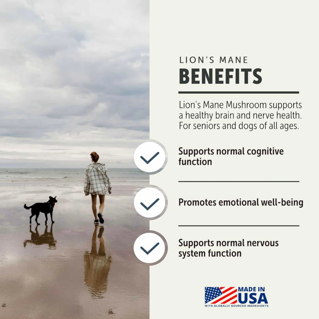 Dog Mushroom Supplement product image 6
