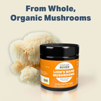Dog Mushroom Supplement product image 16