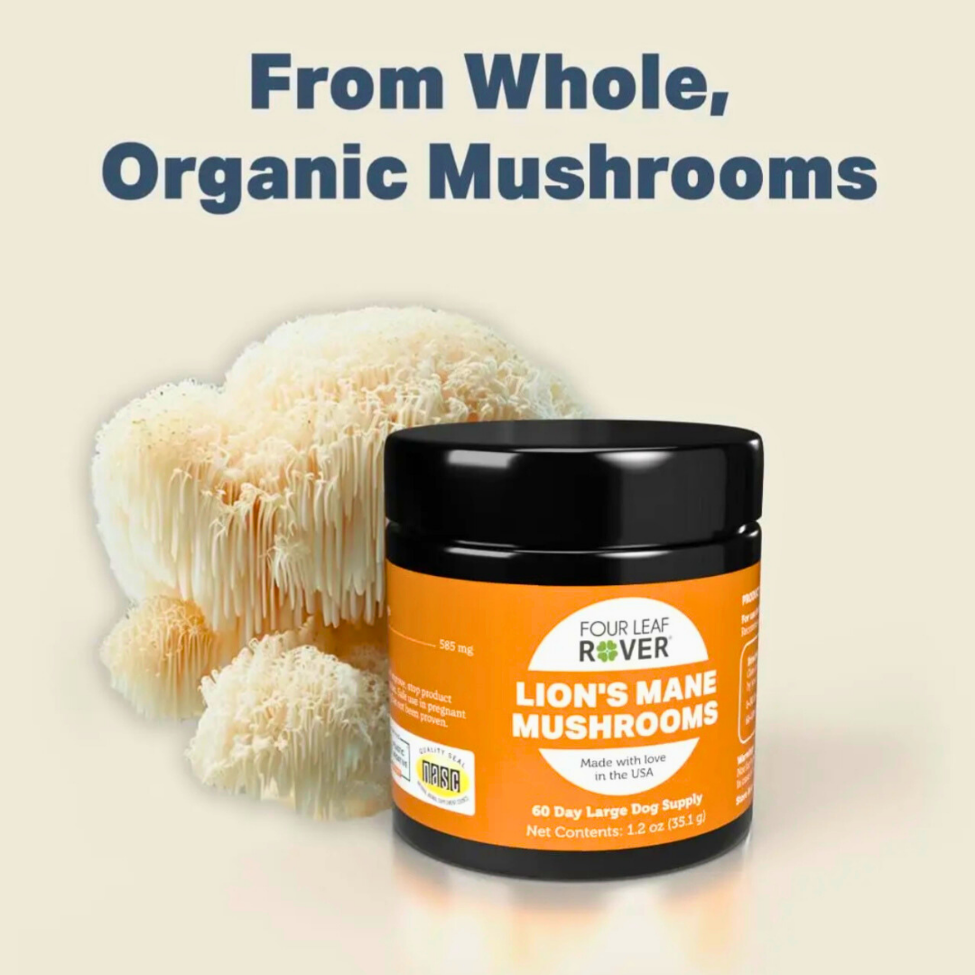 Dog Mushroom Supplement product image 16