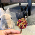 Small Animal Treats product image 3