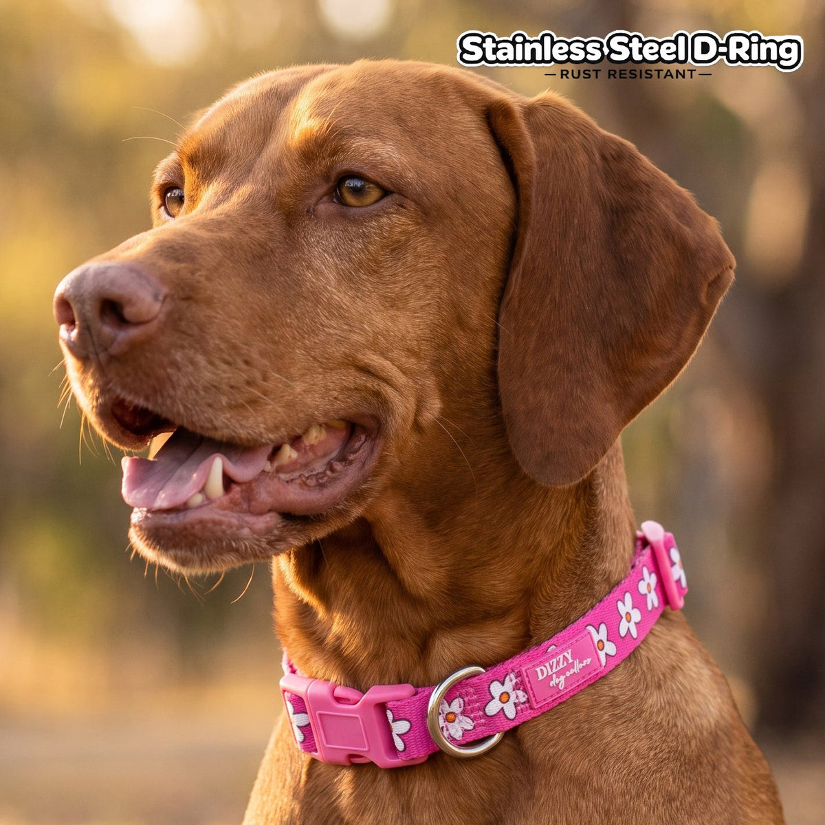 Dog Collar product image 1