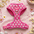 Dog Harness product image 1