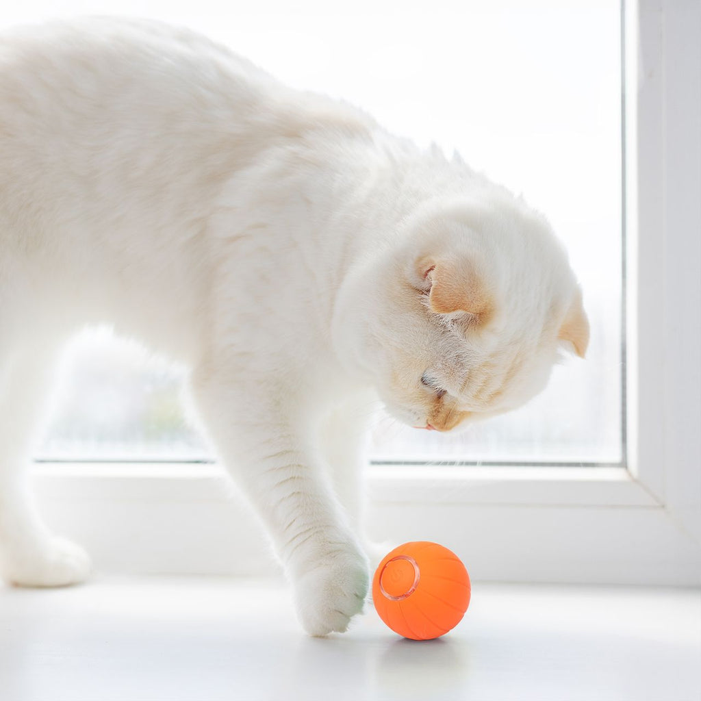 Interactive Cat Toy product image 2