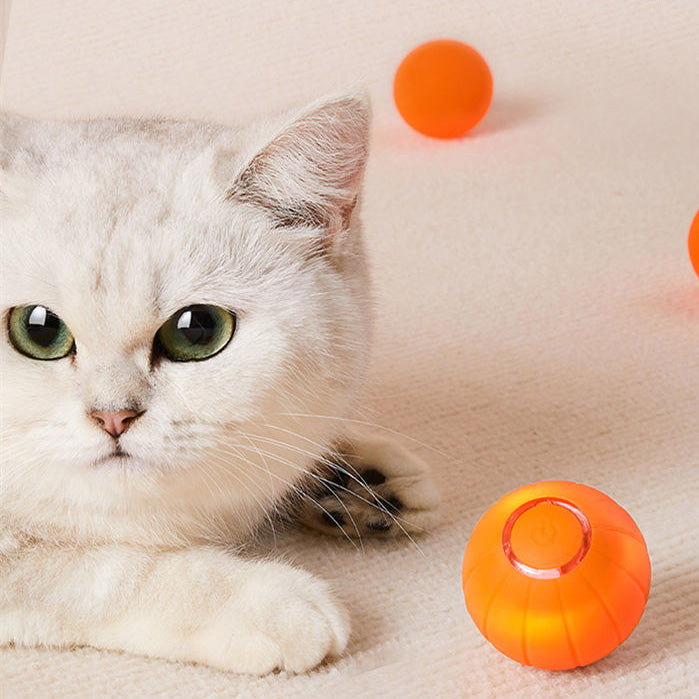 Interactive Cat Toy product image 3
