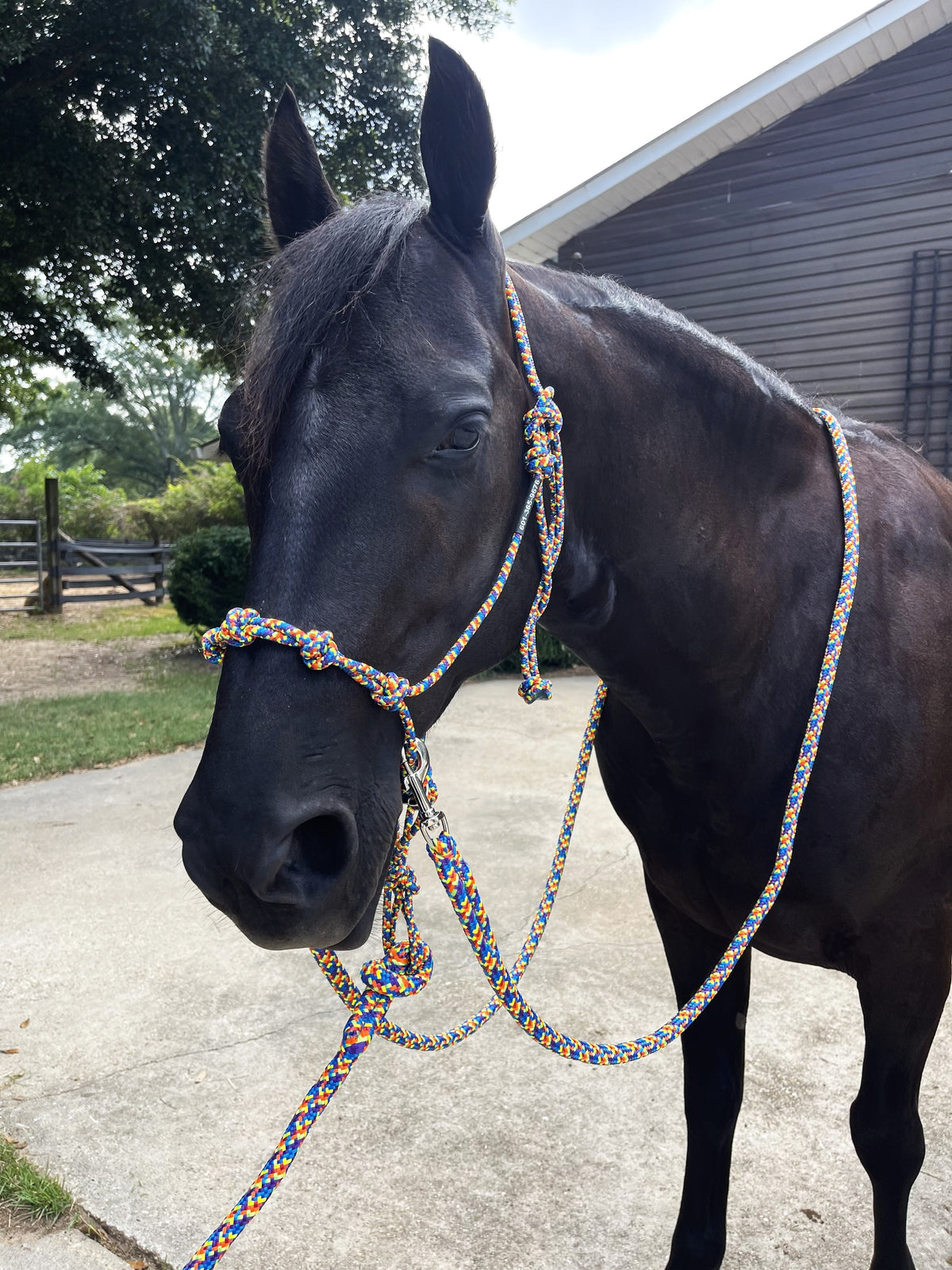 Rope Halter Training Set product image 1