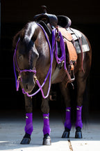 Rope Halter Training Set product image 6