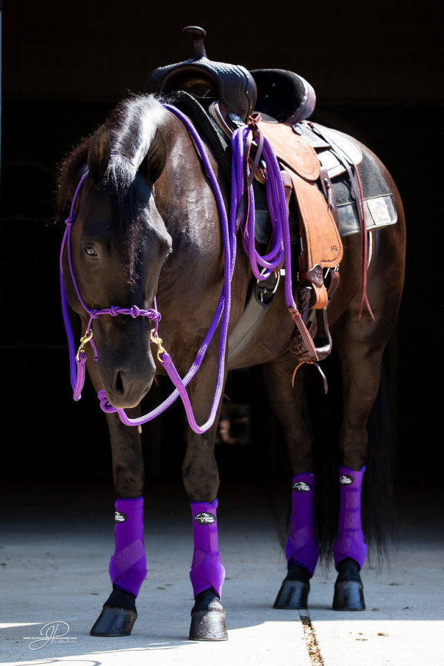 Rope Halter Training Set product image 6