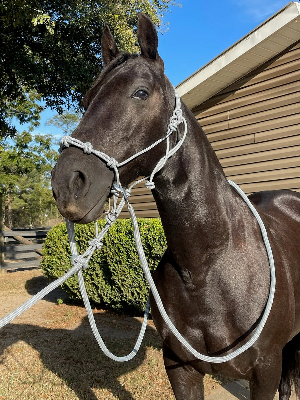 Rope Halter Training Set product image 13