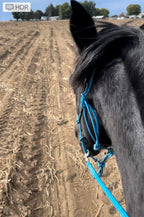 Rope Halter Training Set product image 17