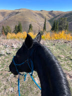Rope Halter Training Set product image 20