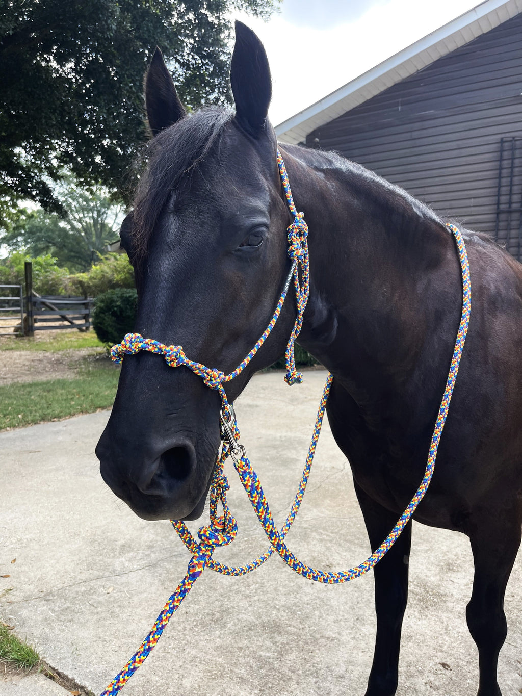 Rope Horse Halter product image 10