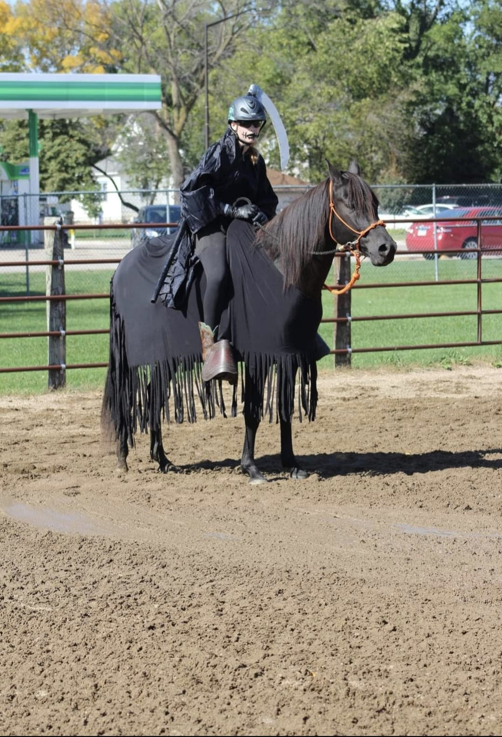 Rope Horse Halter product image 16