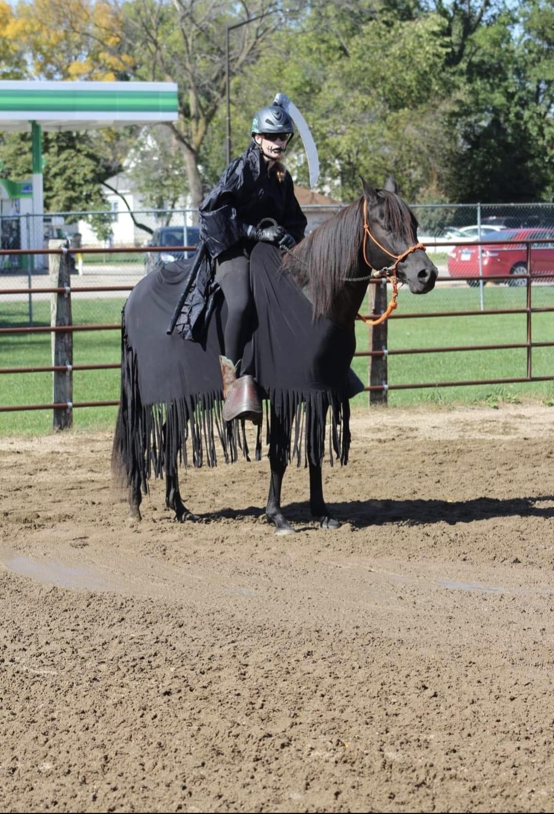 Rope Horse Halter product image 16