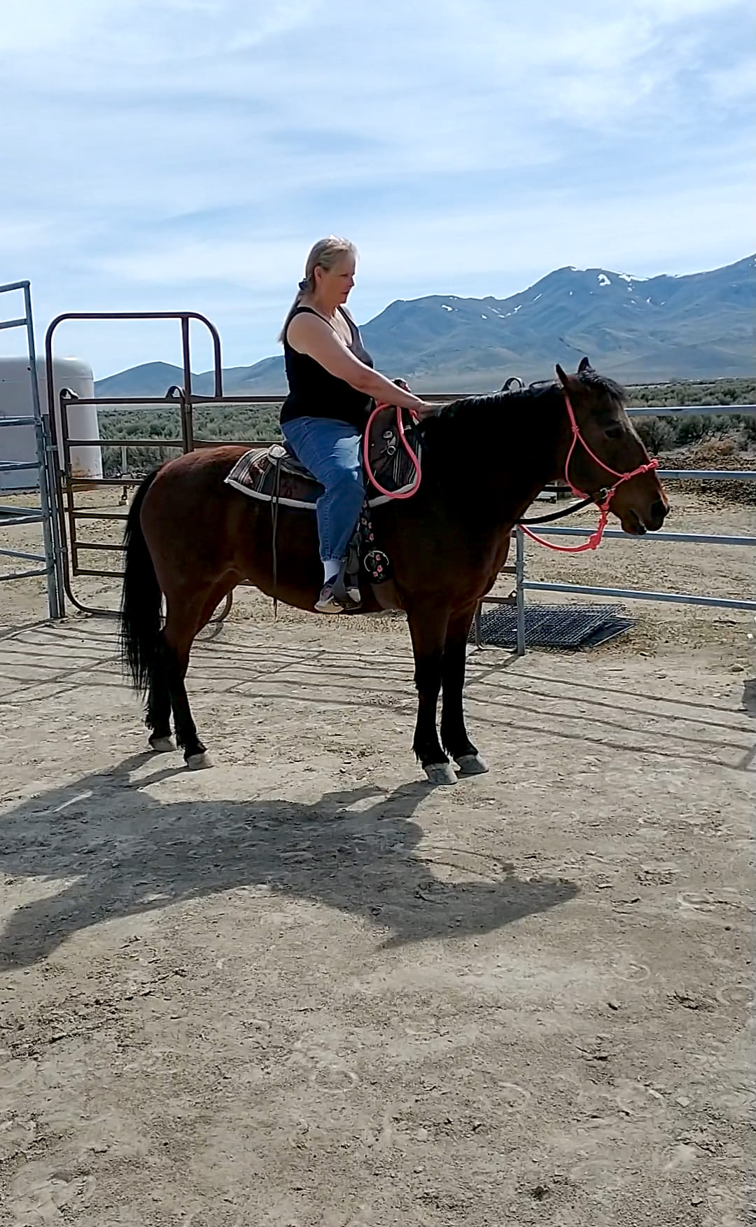 Rope Horse Halter product image 18