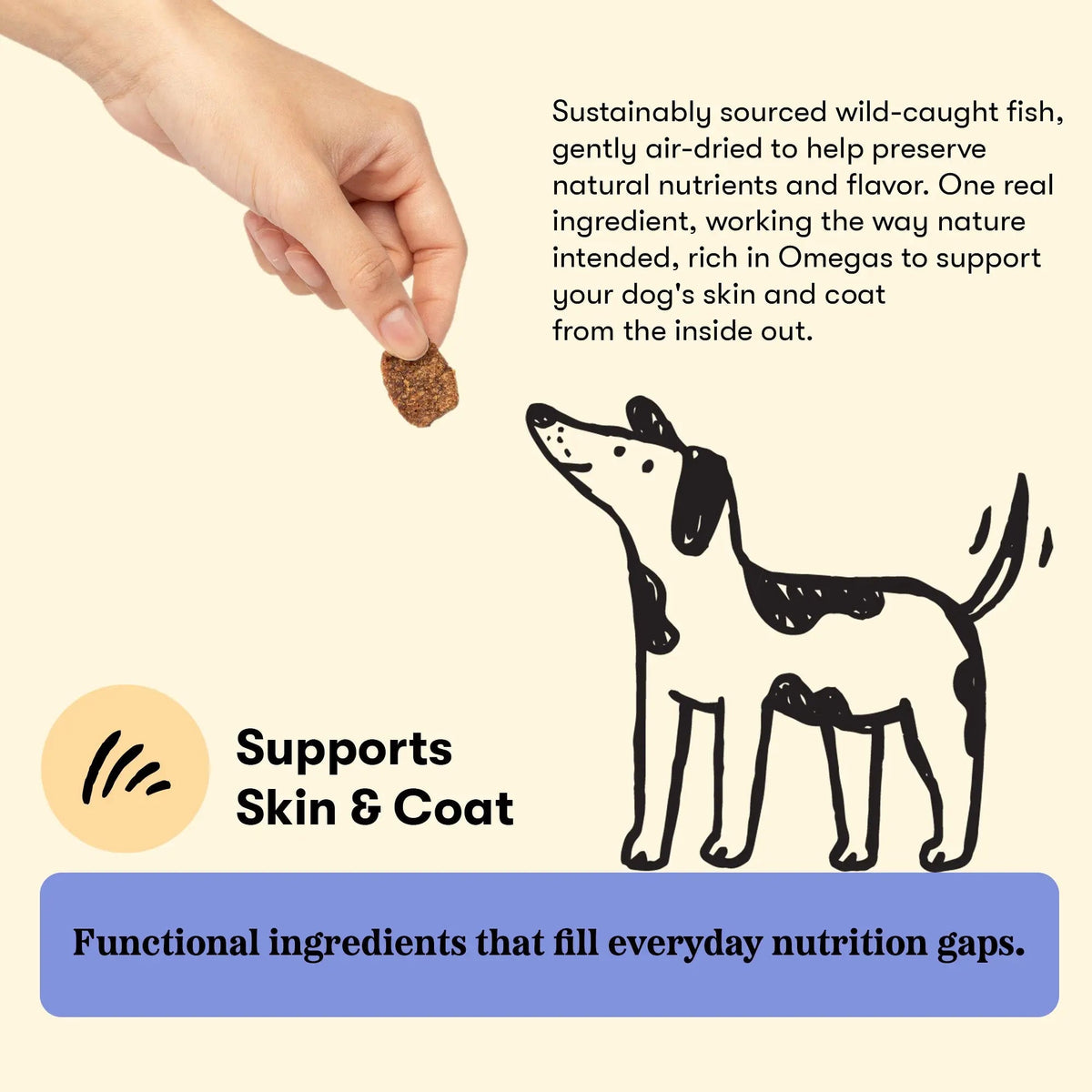 Dog Wellness Chews product image 4