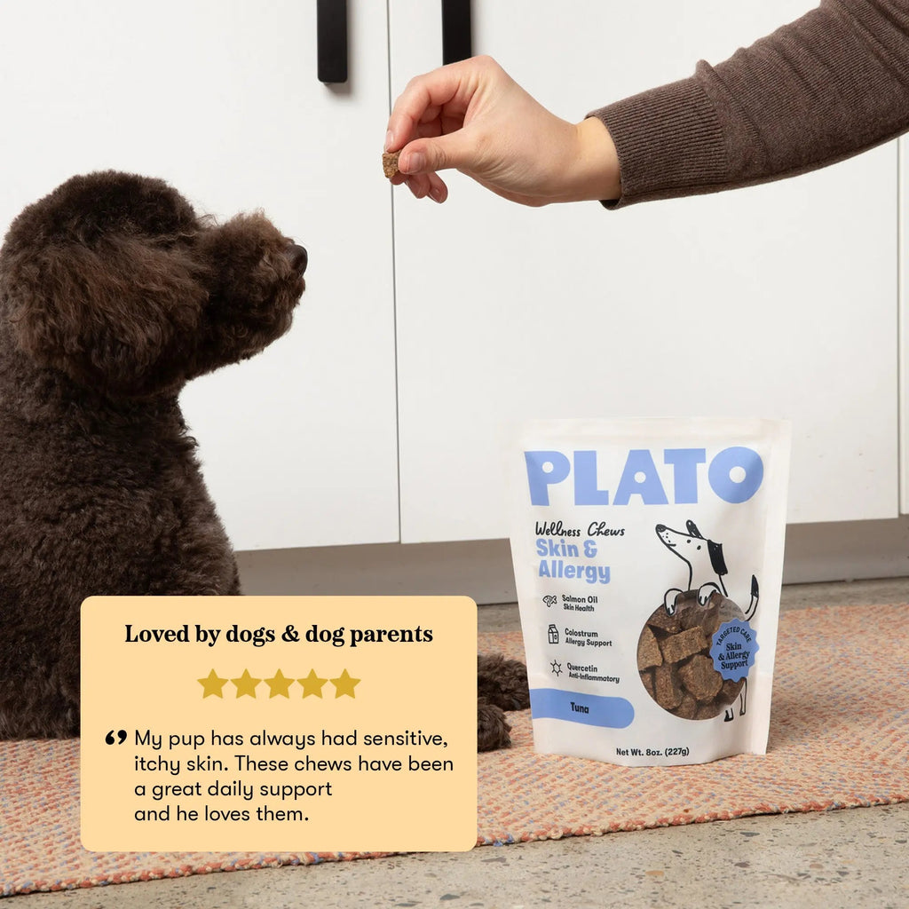 Dog Wellness Chews product image 7