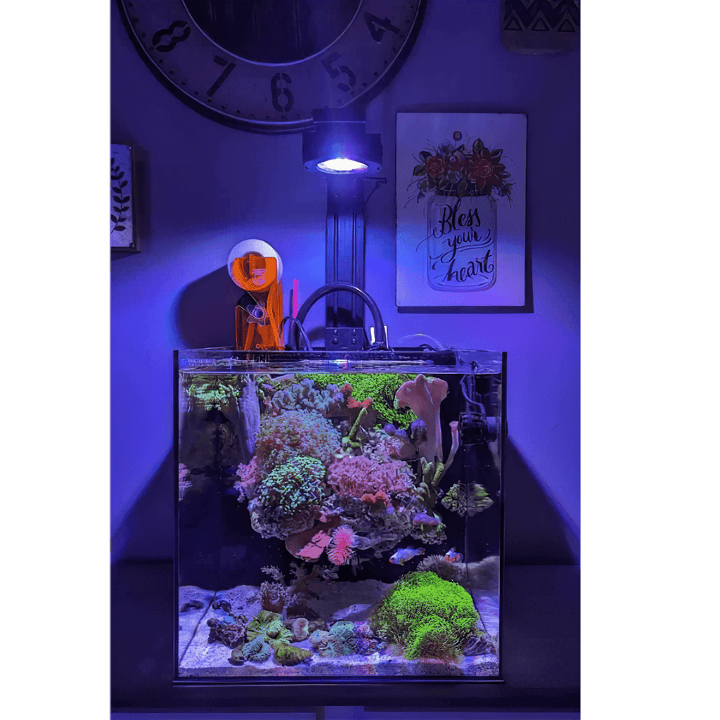 Aquarium Lighting product image 4