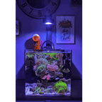Aquarium Lighting product image 4