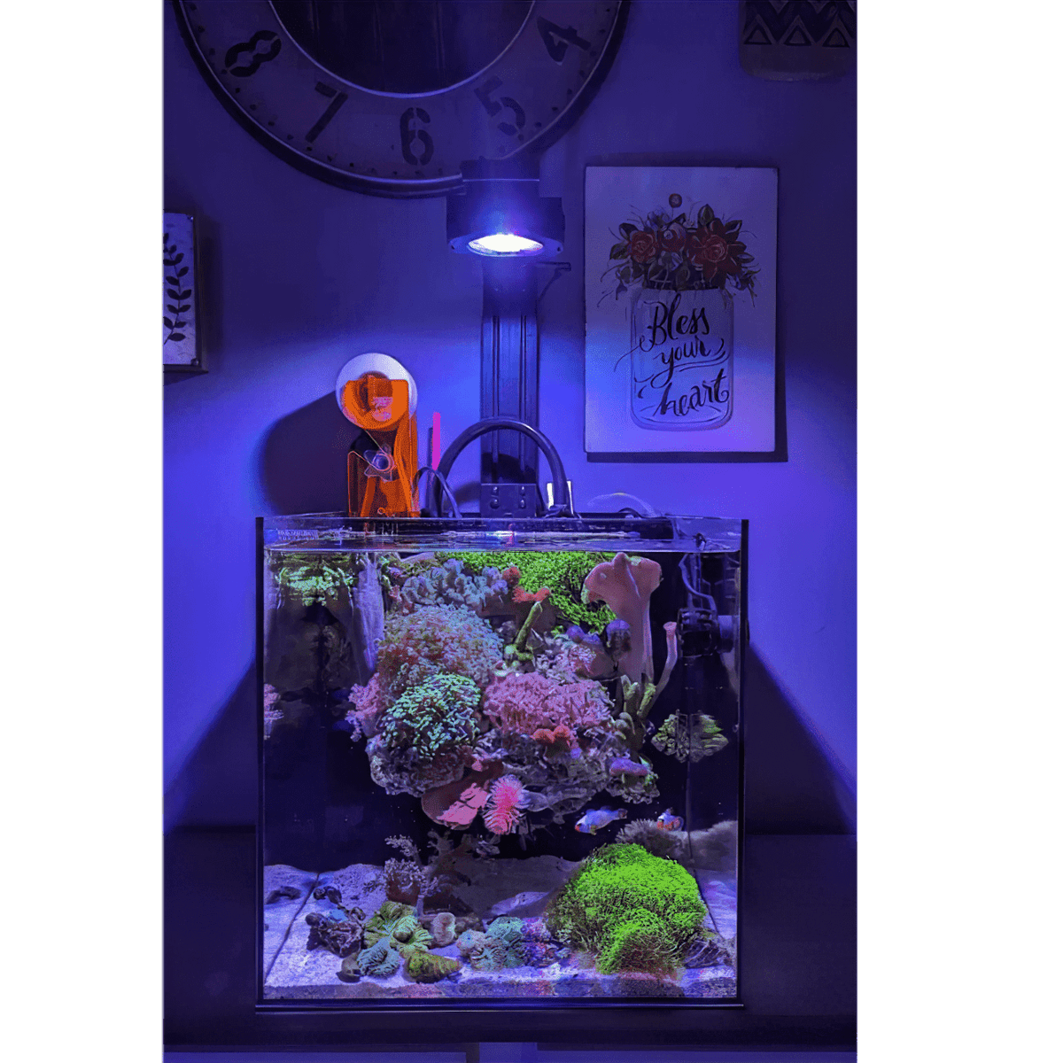 Aquarium Lighting product image 4