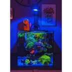 Aquarium Lighting product image 5