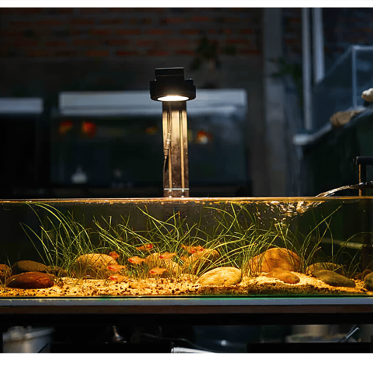 Aquarium Lighting product image 9
