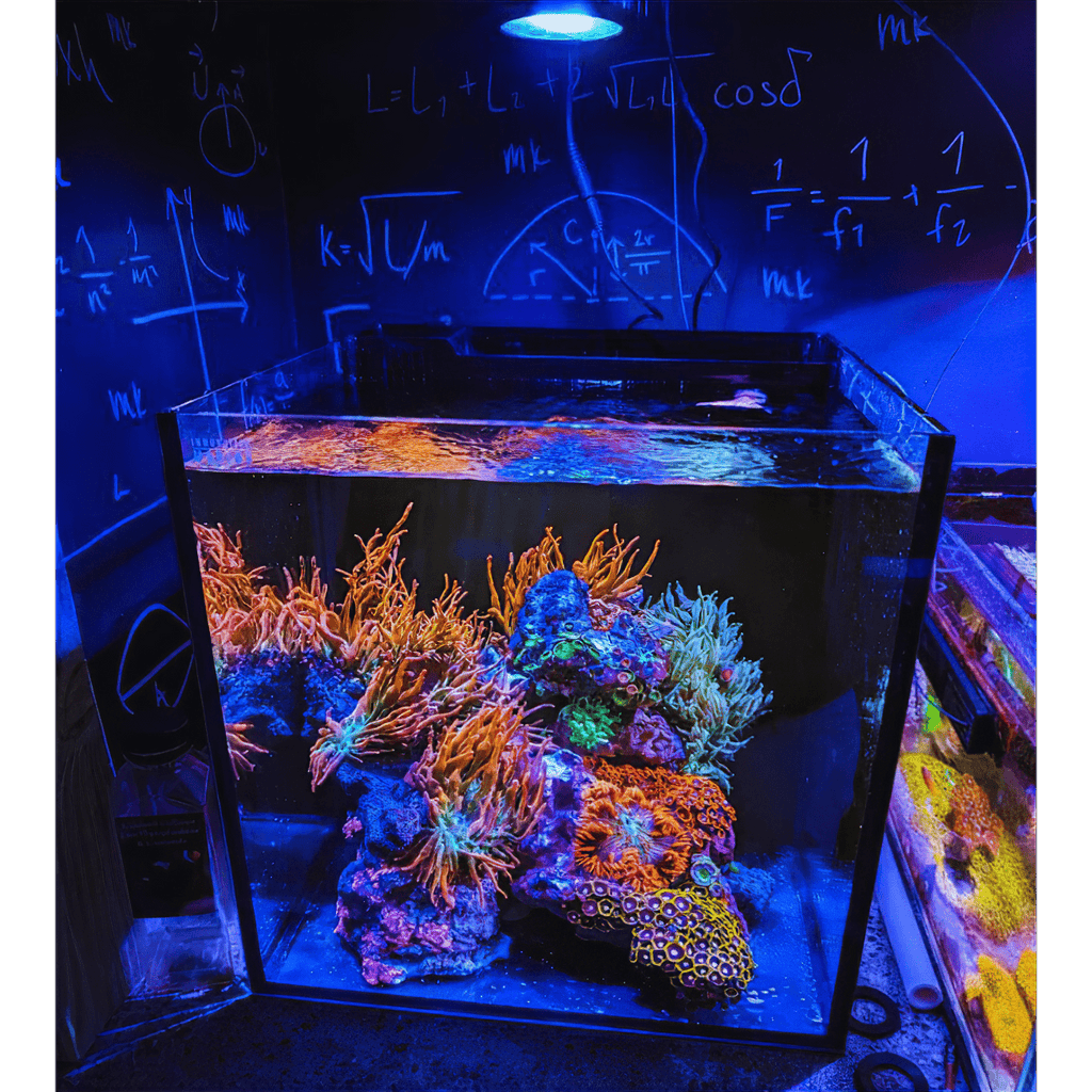 Aquarium Lighting product image 13