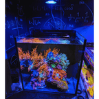 Aquarium Lighting product image 13