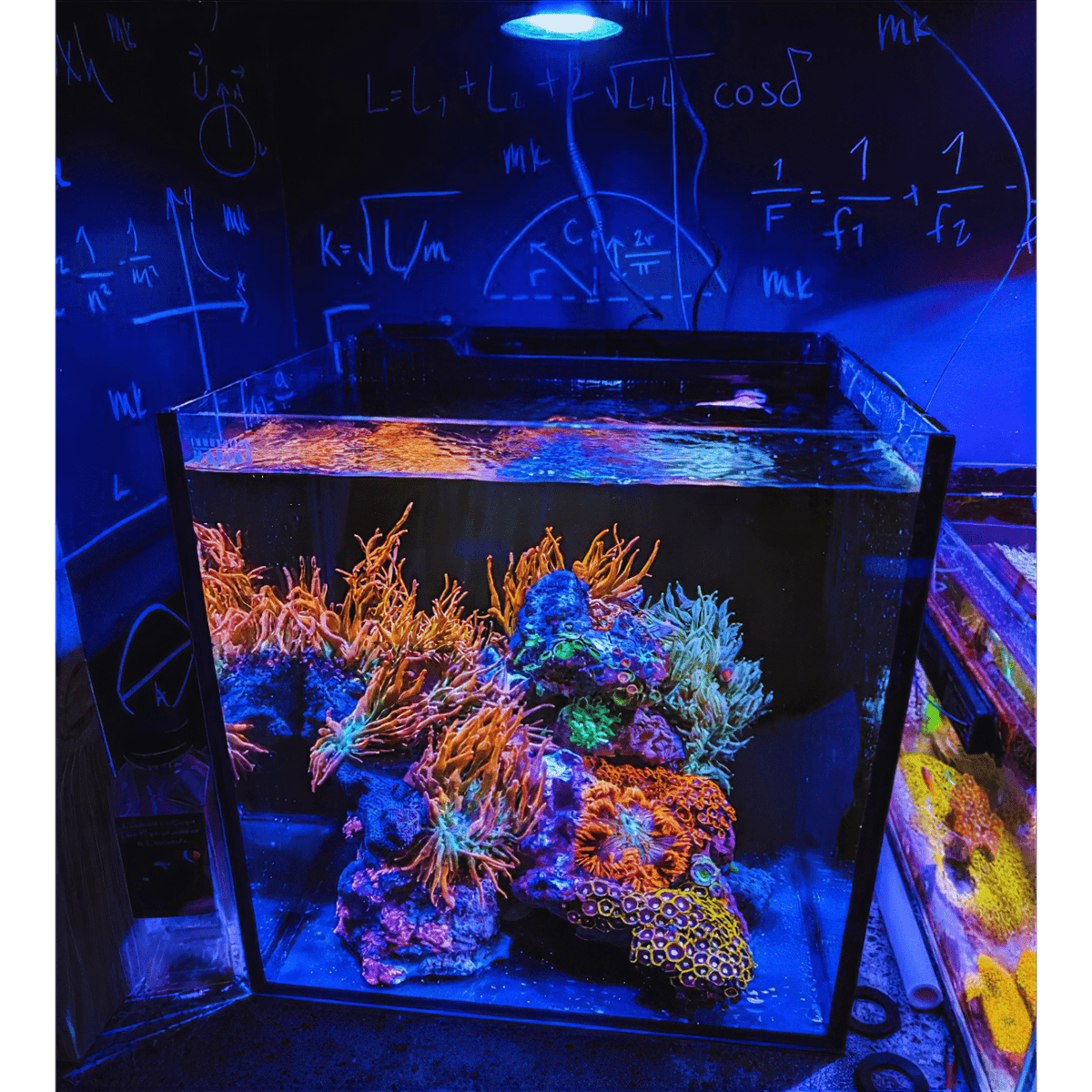 Aquarium Lighting product image 13