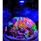 Aquarium Lighting product image 16