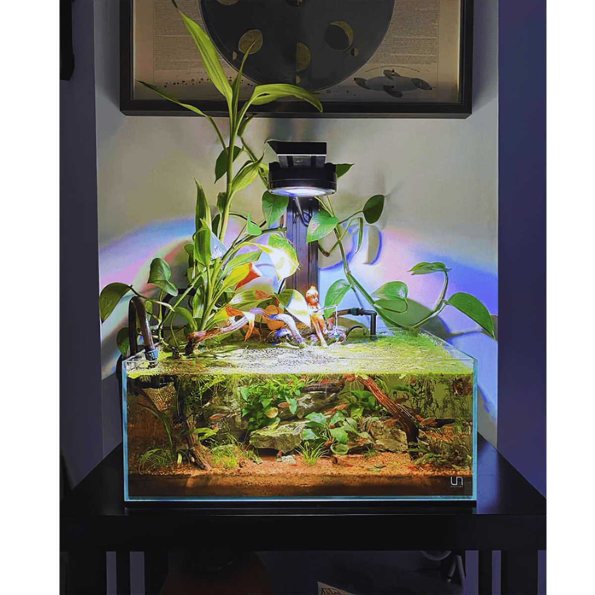 Aquarium Lighting product image 17