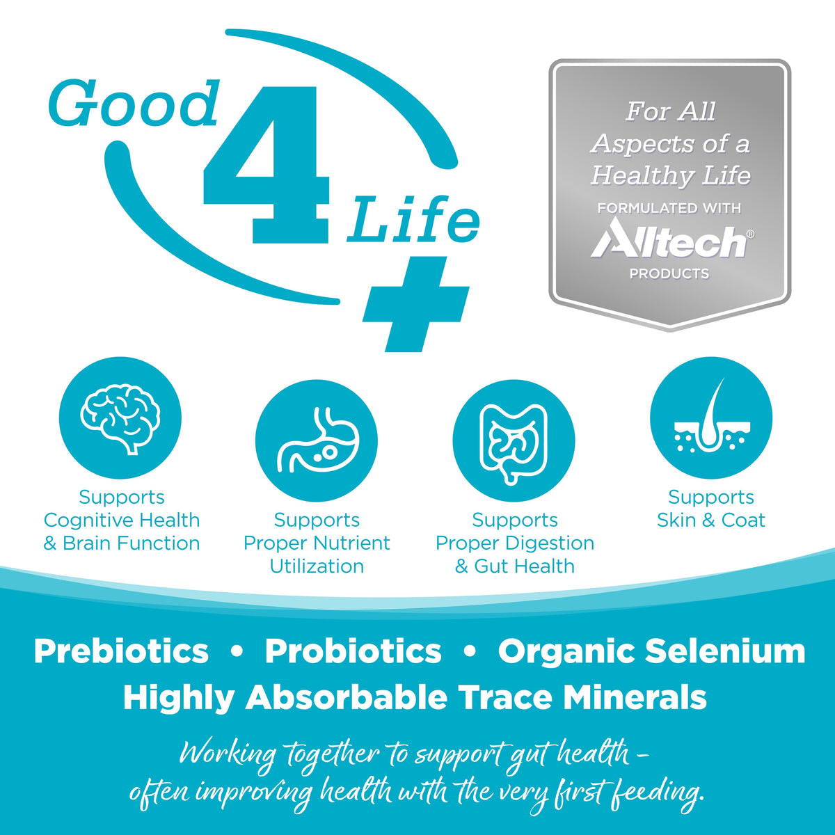 Freeze-Dried Dog Food product image 3