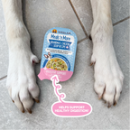 A packet of Weruva Belly Belly Nice Variety Pack dog food sits between a dog's front paws on a tiled floor, with text highlighting gentle digestion and digestive health support.