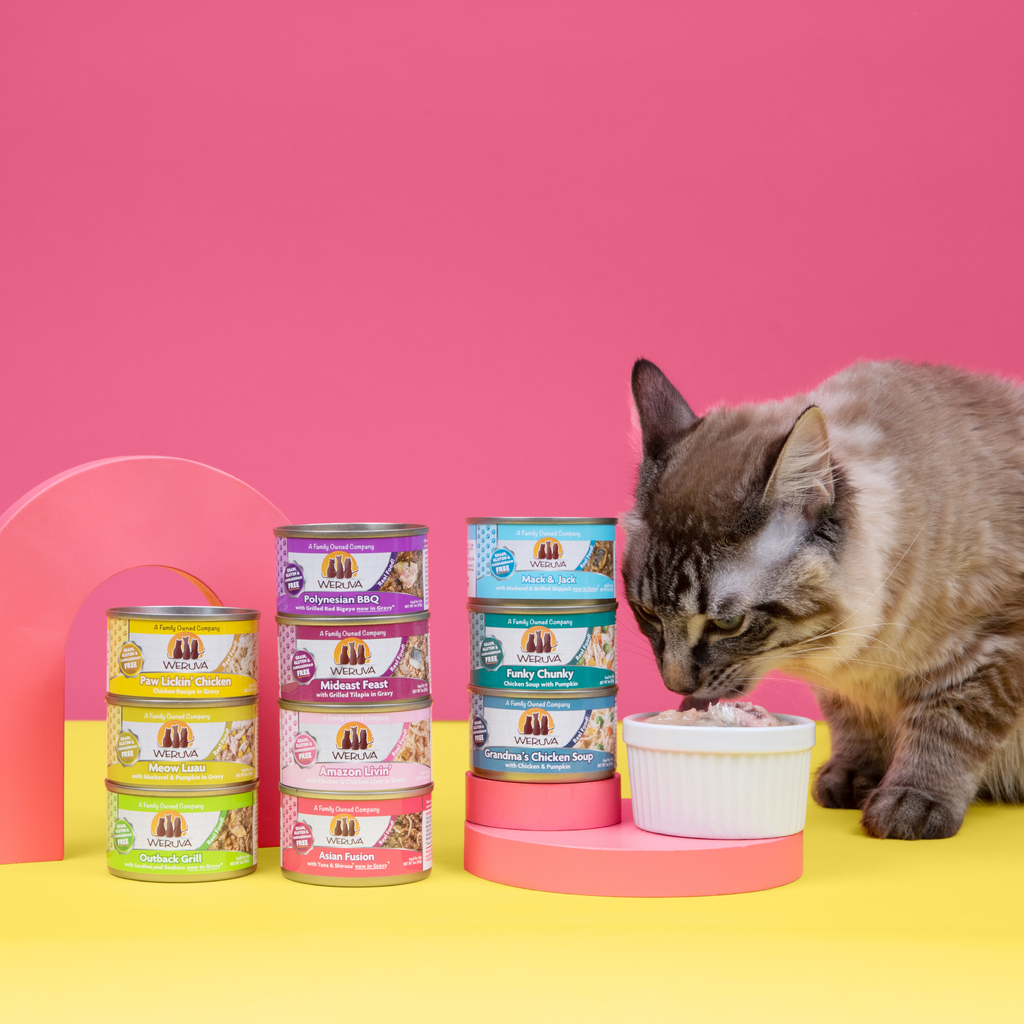 A cat eats from a white dish beside stacks of Weruva Paw Lickin' Chicken cat food in colorful packaging, set against a pink and yellow background.