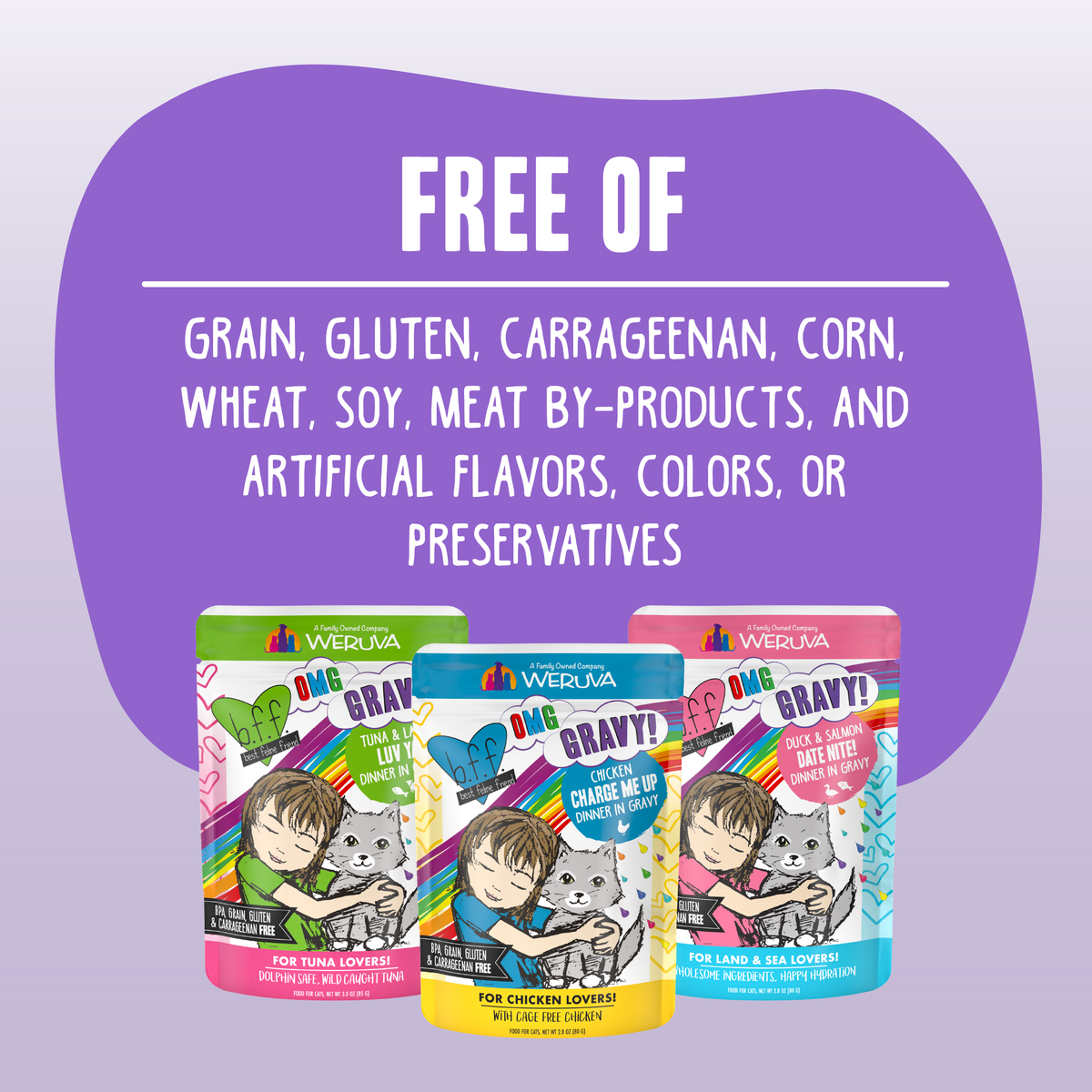 Wet Cat Food product image 5