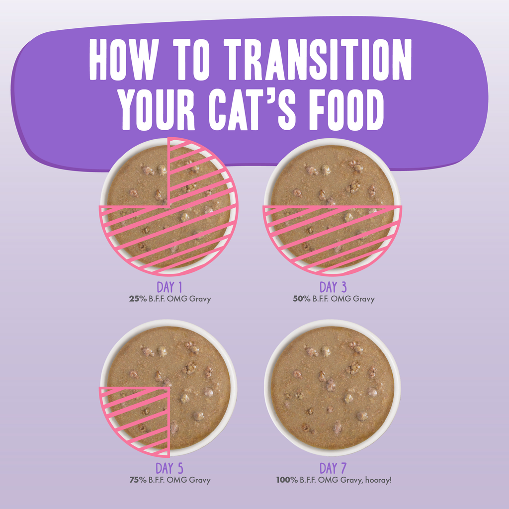 Wet Cat Food product image 6