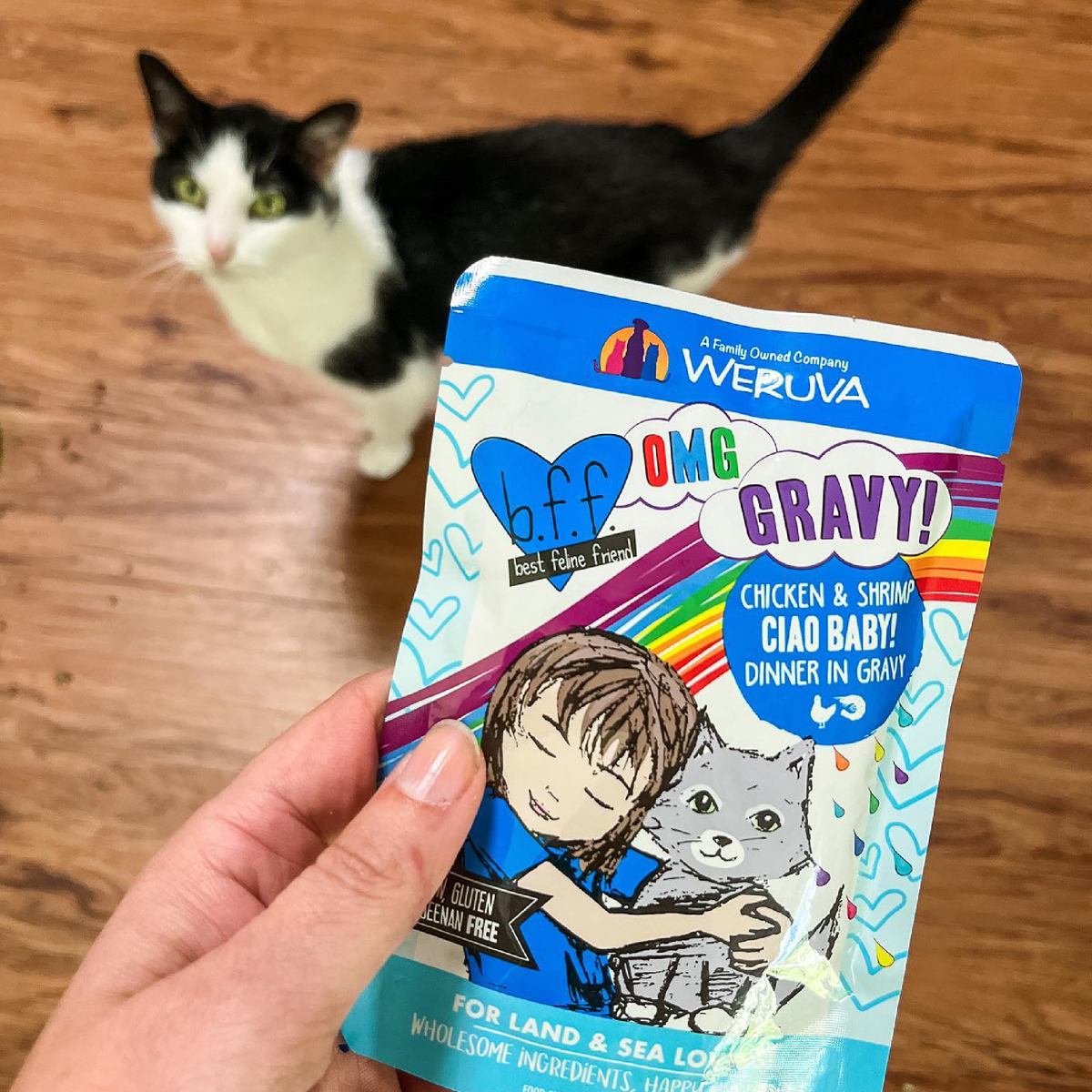 Wet Cat Food product image 7