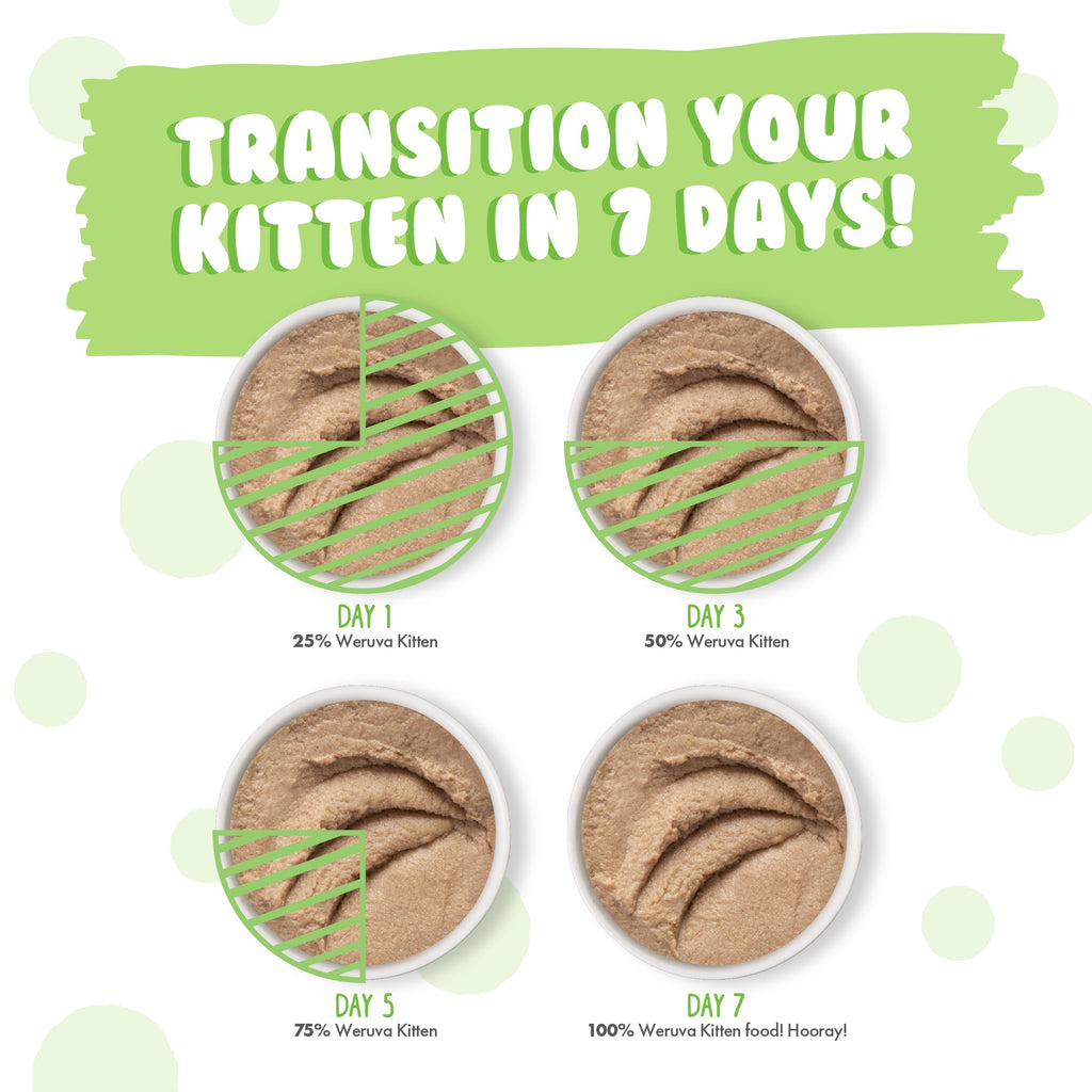Wet Kitten Food product image 5