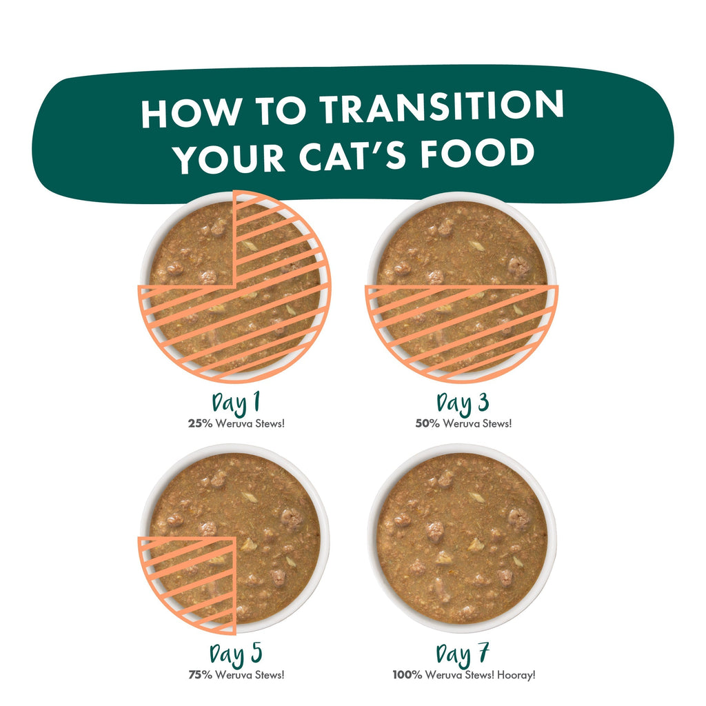 Infographic: Transition your cat’s food to Weruva Spoil Me Stewpid!—cage-free chicken & wild-caught salmon—by increasing from 25% on Day 1 to 100% on Day 7. Four bowls illustrate the daily portions.