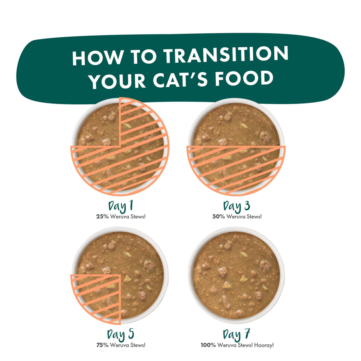 Infographic: Transition your cat’s food to Weruva Spoil Me Stewpid!—cage-free chicken & wild-caught salmon—by increasing from 25% on Day 1 to 100% on Day 7. Four bowls illustrate the daily portions.