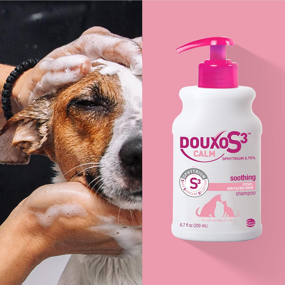 Pet Skin Care Bundle product image 8
