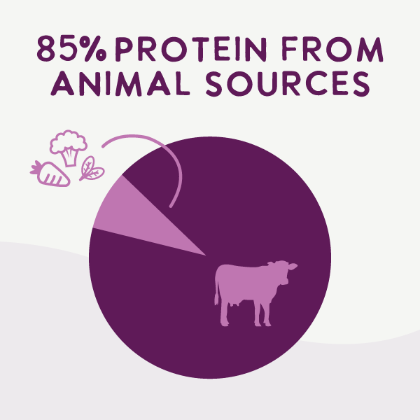Air-Dried Dog Food product image 5