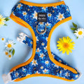 Adjustable Dog Harness product image 1