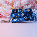 Dog Leash product image 1
