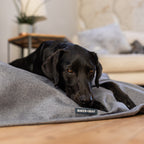 Dog Blanket product image 4