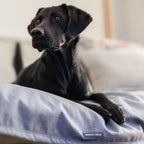 Dog Blanket product image 5