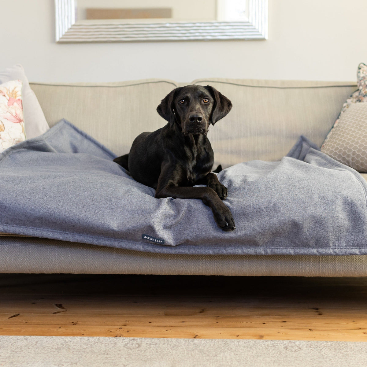 Dog Blanket product image 6